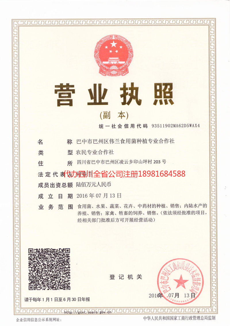 庆阳庆阳伟兰食用菌种植专业合作社